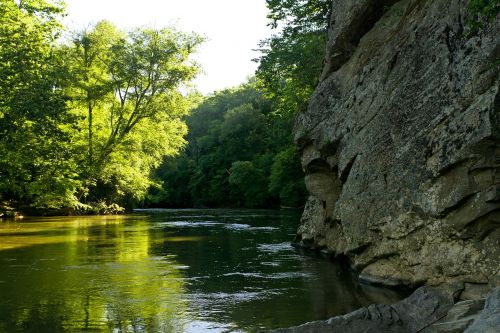 river water trees