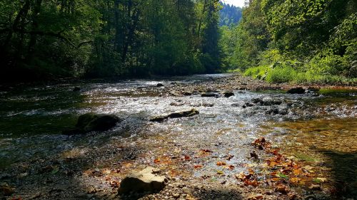 river wutach wutach gorge