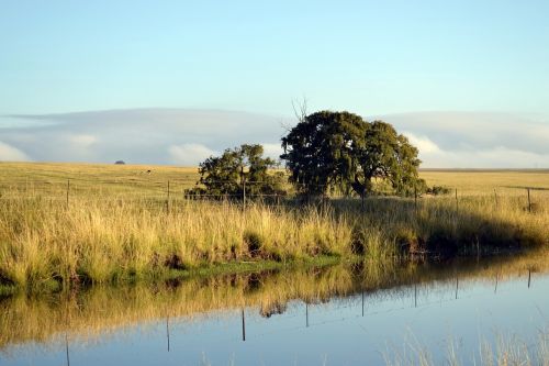 river landscape environment