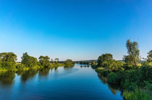 river altmühl trees