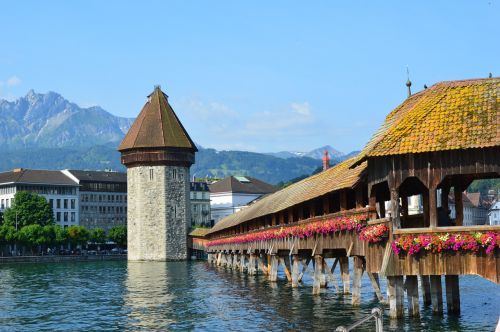 river flower mountains