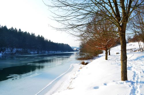 river tree water