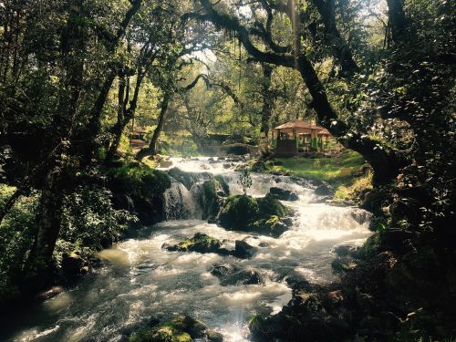 river nature landscape