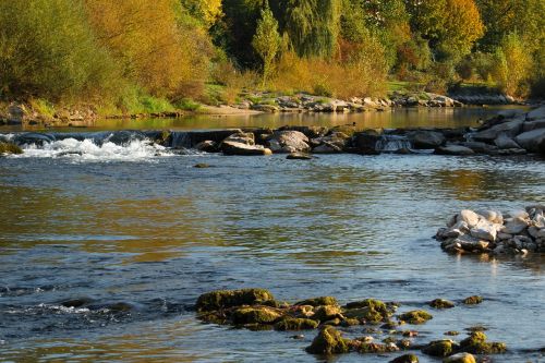 river autumn birs