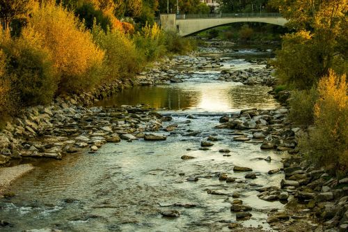 river autumn birs
