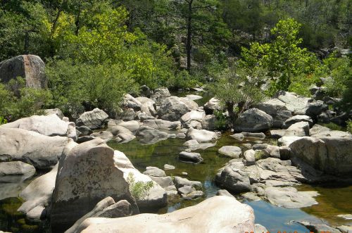 river rock rocks