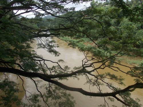 river water sri lanka