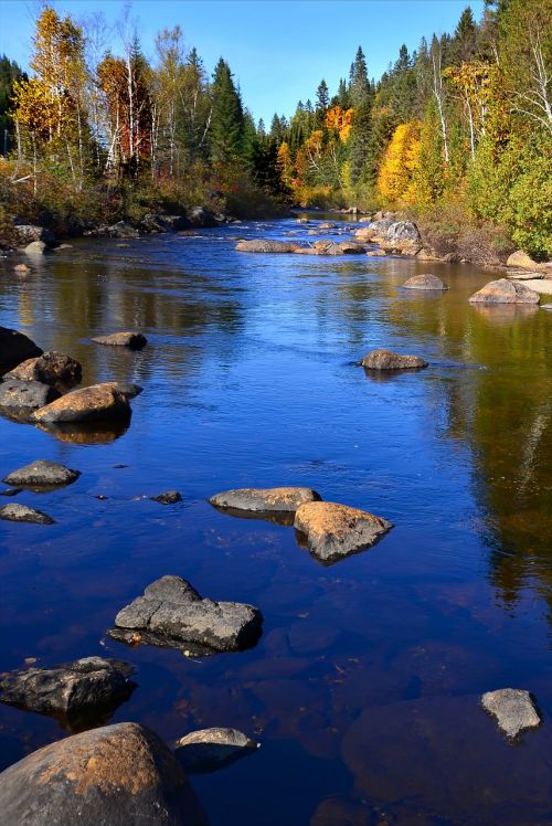 river autumn landscape nature