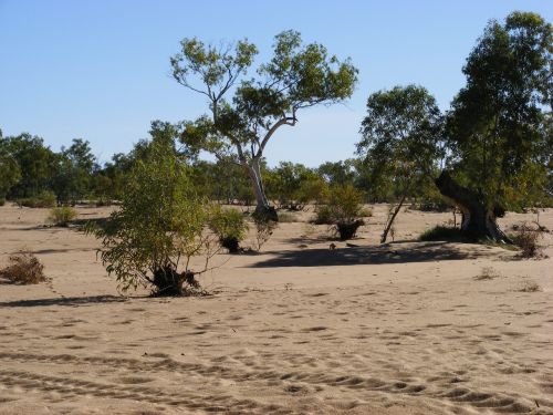 river bed central australia