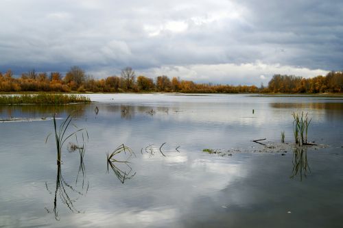 river water nature