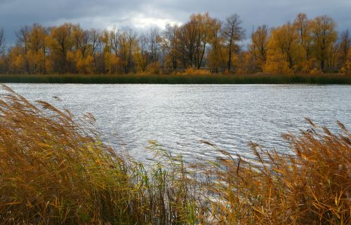 river water nature