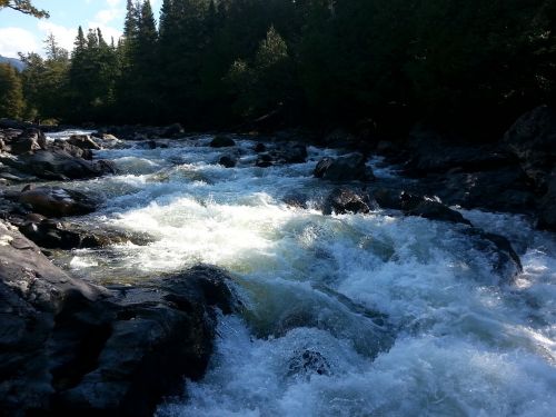 river nature gaspésie