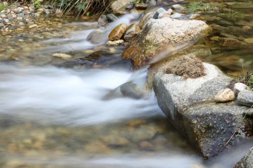 river water bach