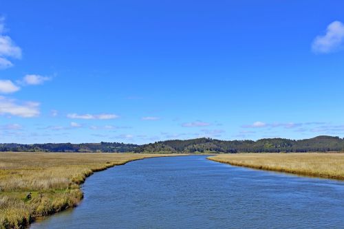 river straw nature