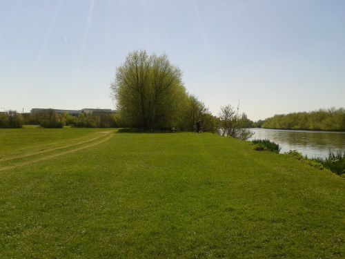 river park grass