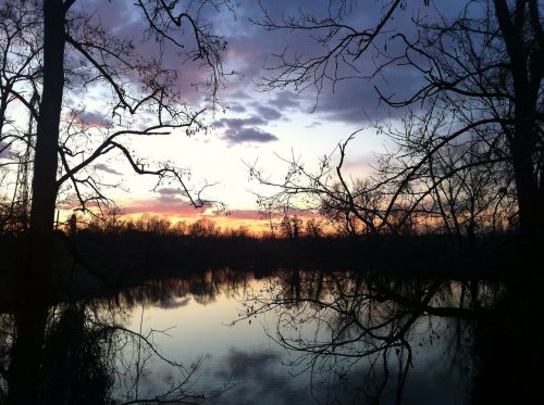 river trees relaxation