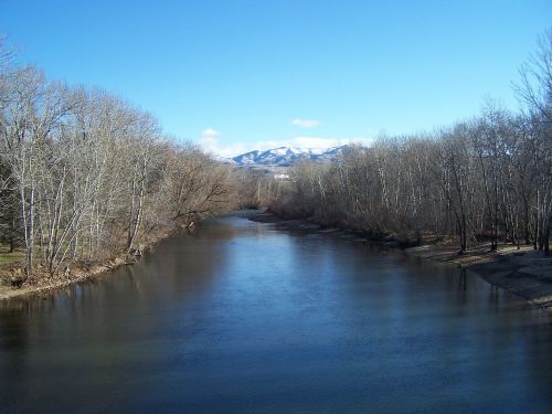 river winter trees