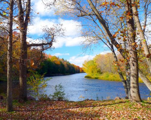 river water nature