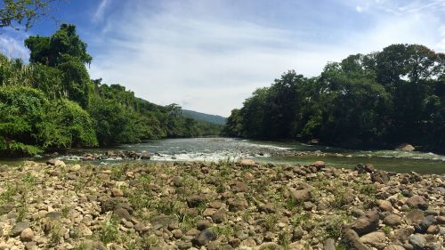 river landscape nature