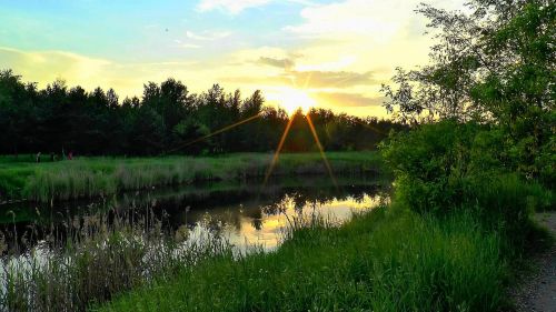 river dawn nature