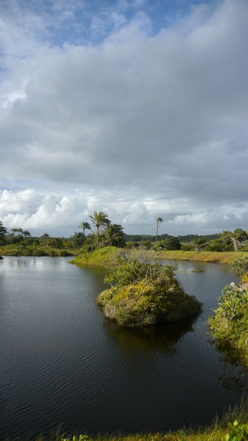 river lagoon nature