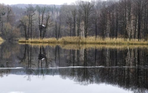 river hut nature