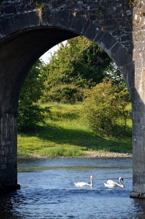 river bridge swan