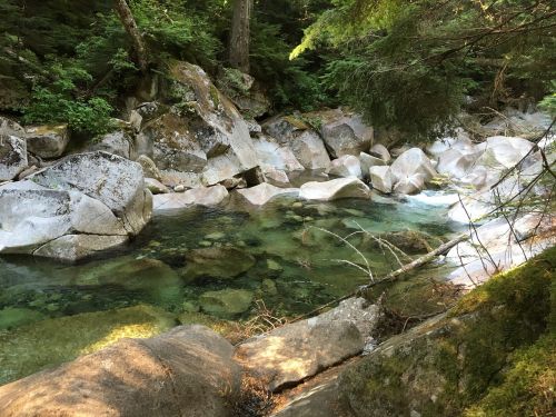 river creek nature