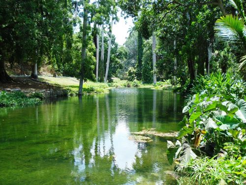 river idyll landscape