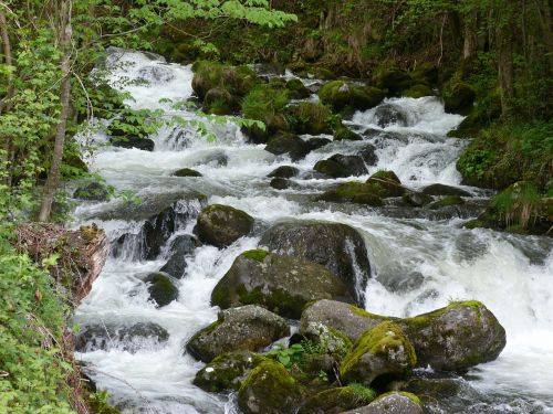 river nature water