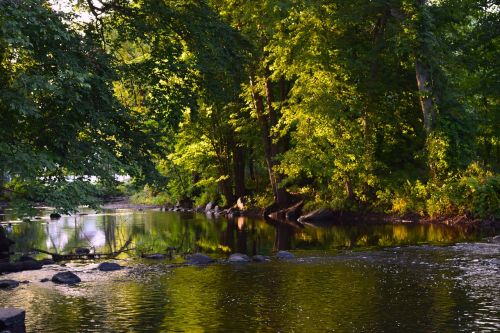 river sun trees