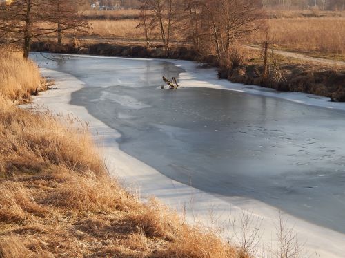 river ice frozen river