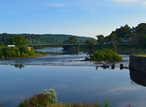 river bridge trees