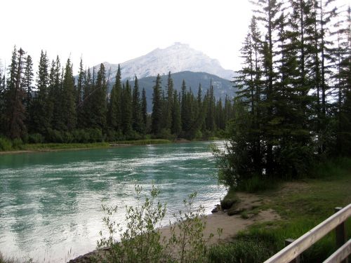 river river bank nature