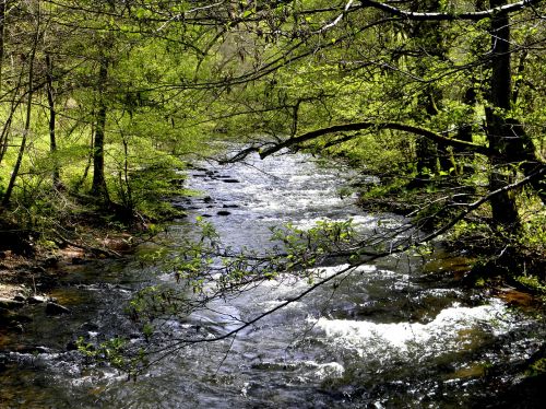 river nature water