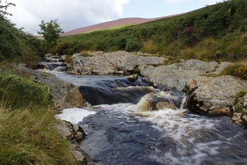 river stream nature