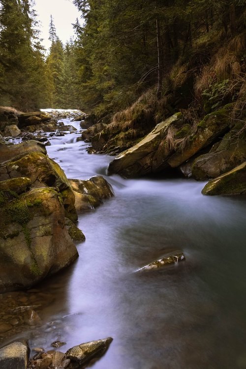 river  landscape  forest