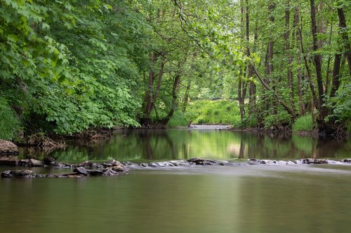 river  trees  bank