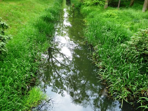 river the brook torrent