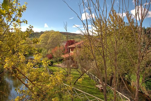 river  landscape  trees