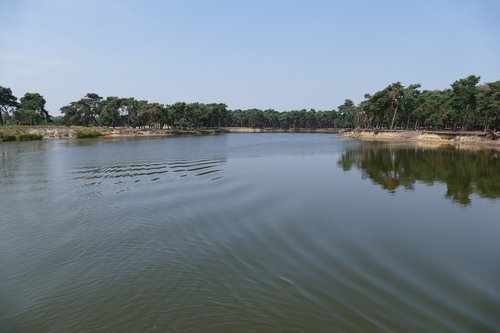 river  water  nature