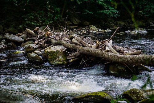 river  bach  water