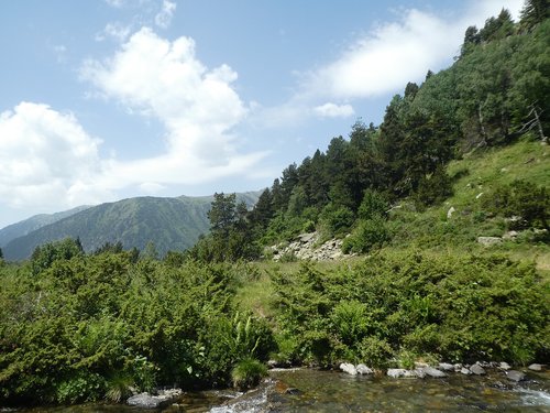 river  trees  mountain