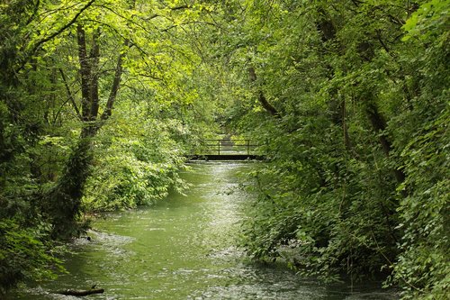 river  nature  landscape