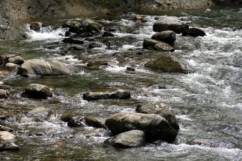 river  mountain river  stones