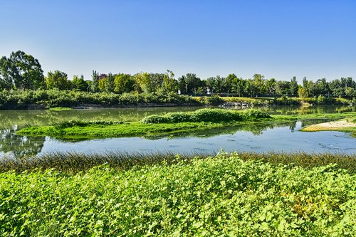 river  nature  water