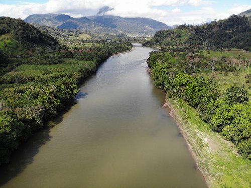river  amazon  landscape
