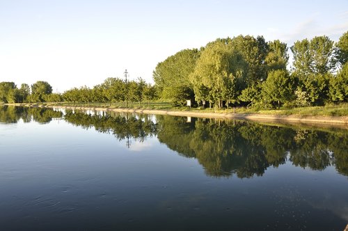 river  trees  reflections in the water