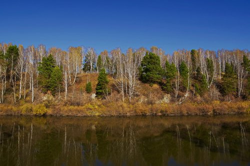 river  forest  nature