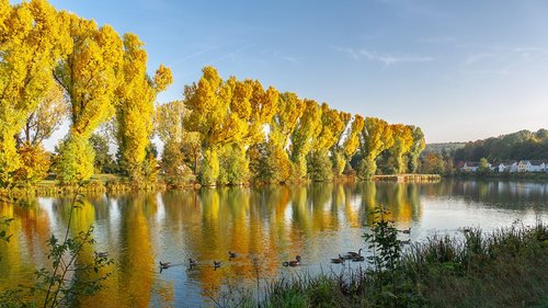 river  bank  landscape